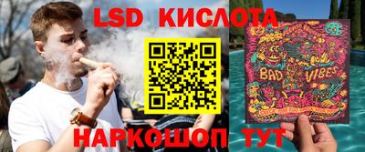 шишки Ирбит