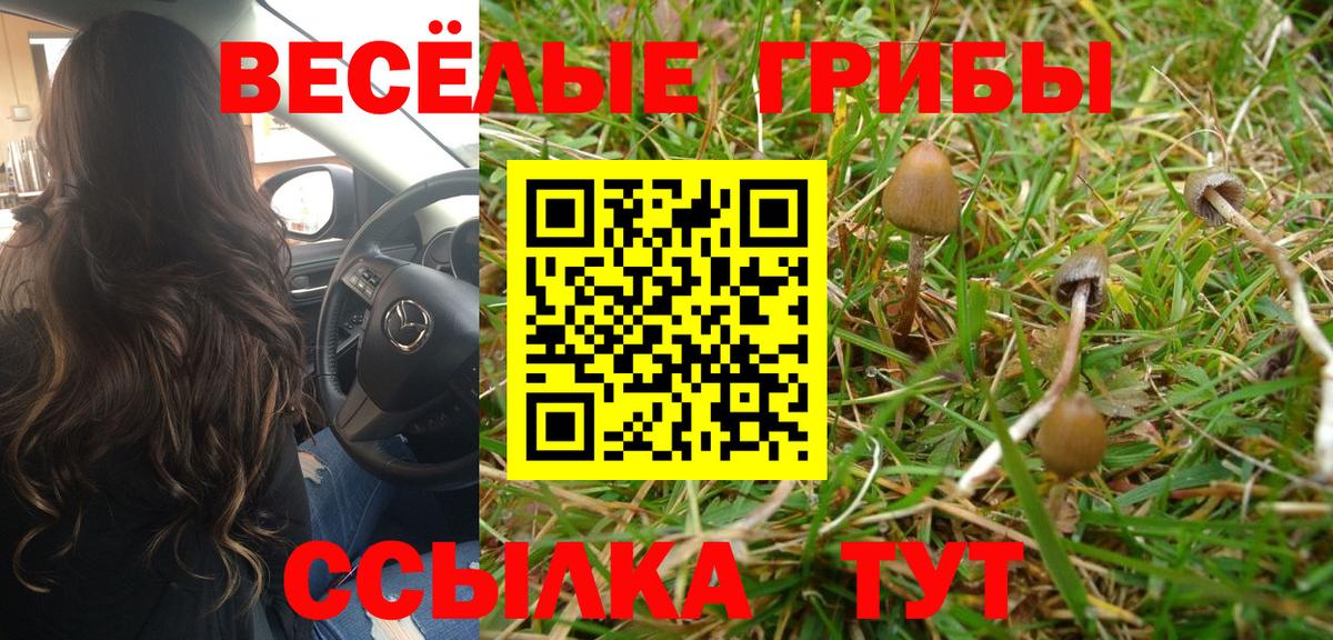 магазин продажи   Вход с VPN  Ливны  Псилоцибиновые грибы MAGIC MUSHROOMS 