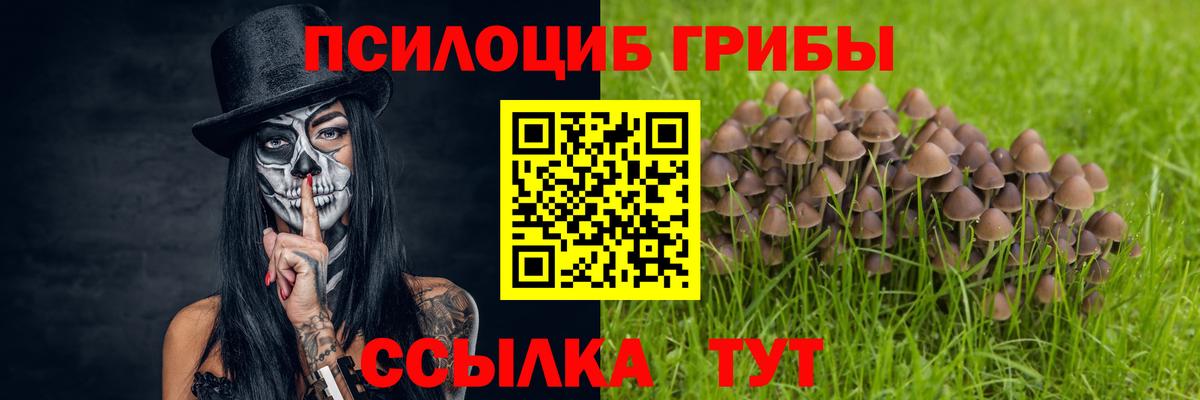 Галлюциногенные грибы ЛСД Ливны
